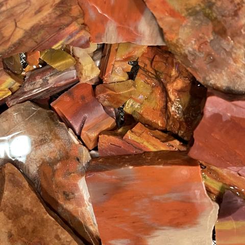 AZ Rainbow Petrified Wood TUMBLERS
