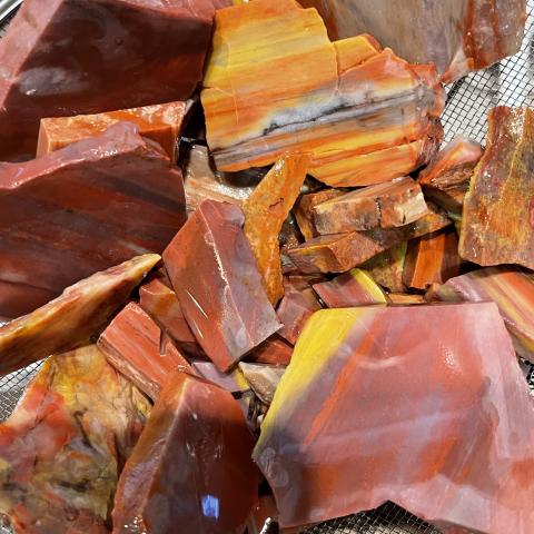 AZ Rainbow Petrified Wood TUMBLERS