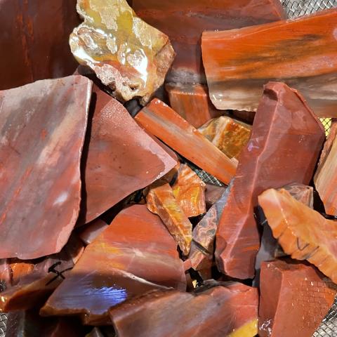 AZ Rainbow Petrified Wood TUMBLERS
