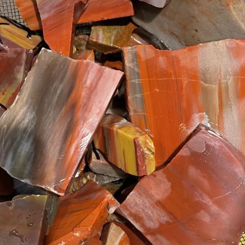 AZ Rainbow Petrified Wood TUMBLERS