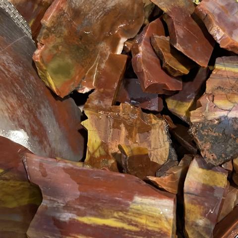 AZ Rainbow Petrified Wood TUMBLERS